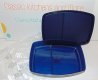 TUPPERWARE Side-By-Side Lunch Snack Container NEW Indigo